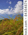 Inaho and autumn sky 84364874