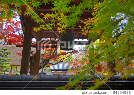 自由寺鐘樓 自由寺鐘樓 84364928