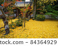 Yellow leaf carpet 84364929