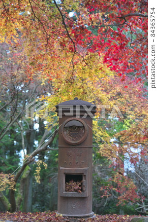 An obsolete mailbox surrounded by autumn leaves An obsolete mailbox surrounded by autumn leaves 84365754