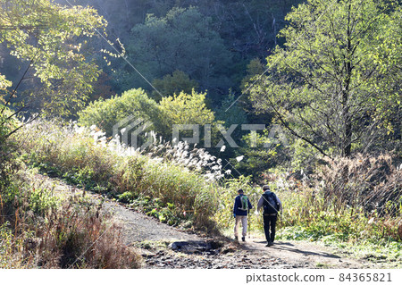 Trekking to Kariike (Ono City, Fukui Prefecture) 84365821