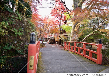 [Kyoto] Autumn leaves at Sanzen-in Temple (Autumn) 84366004