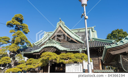 Shibamata Takumi Shibamata Takumi 84366194