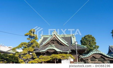 Shibamata Takumi Shibamata Takumi 84366196