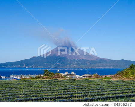 櫻島爆發了 櫻島爆發了 84366257
