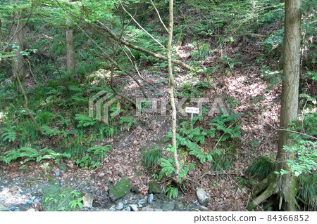 Wado mining open-air excavation site [Wado ruins] / Chichibu City, Saitama Prefecture 84366852