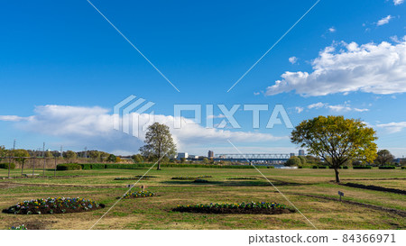 [Tokyo] Shibamata Park / Riverbed 84366971