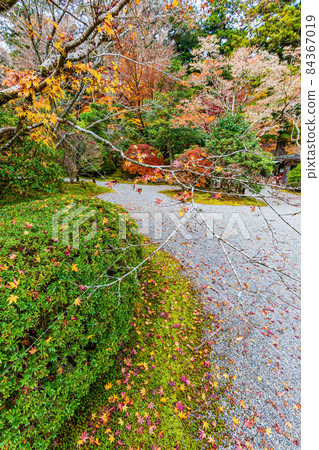 Natadera 花園中的秋葉 84367019