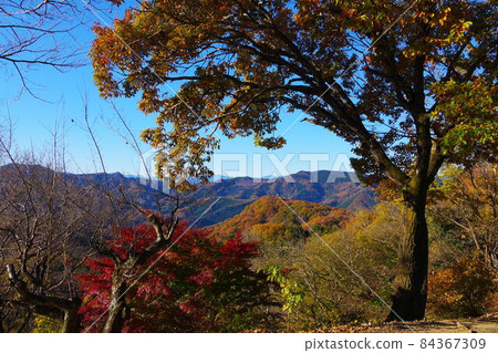 從埼玉縣寄居町和深谷市的金月堂眺望 從埼玉縣寄居町和深谷市的金月堂眺望 84367309