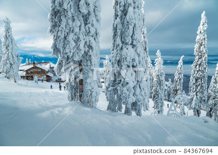 Fabulous snow covered pine trees and skiers on the piste Fabulous snow covered pine trees and skiers on the piste 84367694