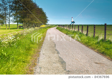 Rural scenery with grazing cows and lighthouse in background, Netherlands Rural scenery with grazing cows and lighthouse in background, Netherlands 84367696