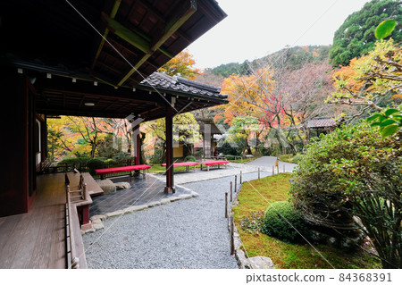 [Kyoto] Autumn leaves of Jakkoin (autumn) 84368391
