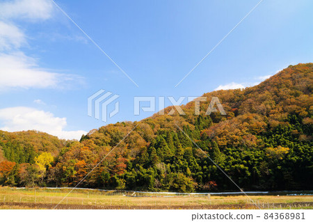 山中的秋葉，深秋，十一月 84368981