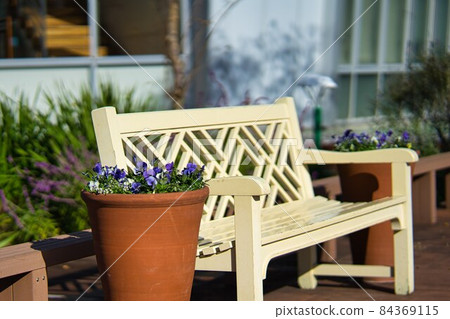 Flowers in the late autumn flower garden 7 84369115