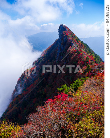 Ishitama山 84369228