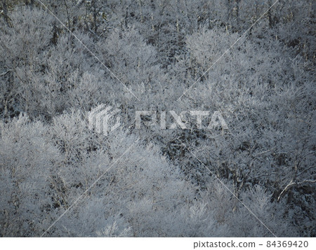 Rime from the Okhotsk Observatory on Mt. Nikoro in Kitami City, Hokkaido 84369420