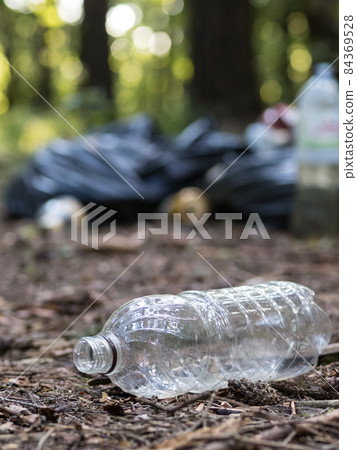 Plastic bottle left in the forest Plastic bottle left in the forest 84369528