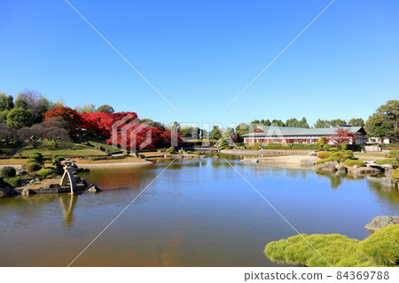 羽田園的秋葉(11月)埼玉縣越谷市越谷劇院 羽田園的秋葉(11月)埼玉縣越谷市越谷劇院 84369788