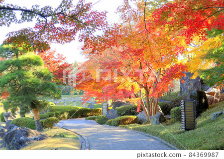 Koshigaya Noh Theater, Haneda Garden's Autumn Leaves (November) Saitama Prefecture Koshigaya-shi 84369987