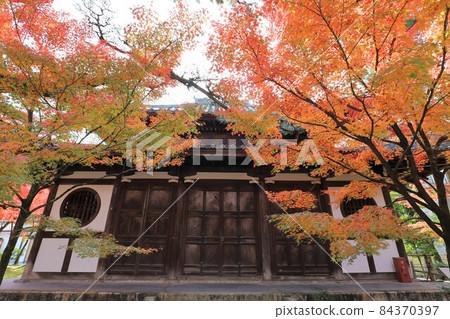 Autumn leaves at Eikando, Kyoto 84370397