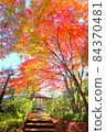 Koshigaya Noh Theater, Hanataen Autumn Leaves and Azumaya (November) Koshigaya City, Saitama Prefecture 84370481