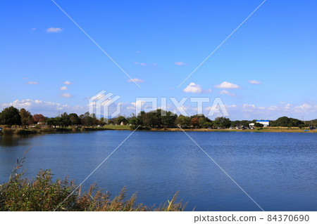 在兵庫縣加古禦池拍攝的照片 84370690