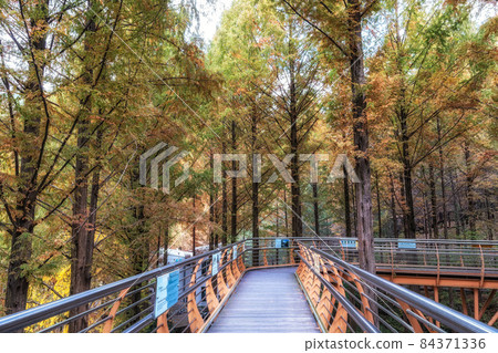 Jangtaesan skywalk pathway Jangtaesan skywalk pathway 84371336