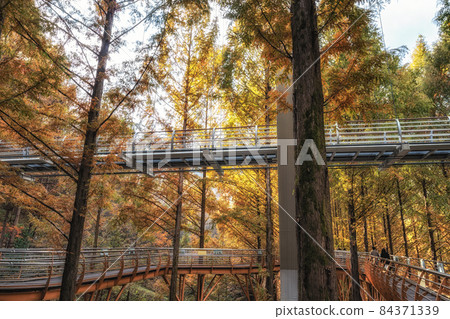 Jangtaesan skywalk pathway Jangtaesan skywalk pathway 84371339