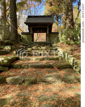 Autumn leaves at Futagoji Sanmon on the Kunisaki Peninsula Autumn leaves at Futagoji Sanmon on the Kunisaki Peninsula 84371847