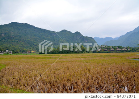 Mai Chau landscape Mai Chau landscape 84372071