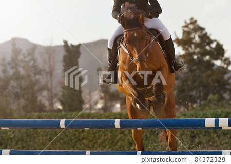 Rider on a sports horse jumping over an obstacle during the horse jumping event 84372329