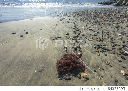 艾斯港附近的海灘 84372695