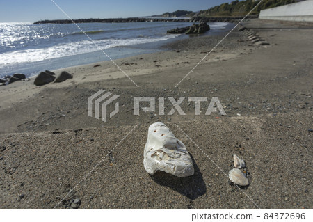 艾斯港附近的海灘 84372696