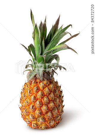 Single pineapple stands isolated on a white Single pineapple stands isolated on a white 84372720