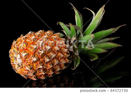 Single whole pineapple with reflection lies rotated 84372730