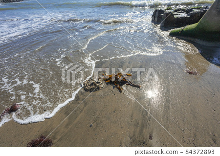 The beach near Aise Port The beach near Aise Port 84372893