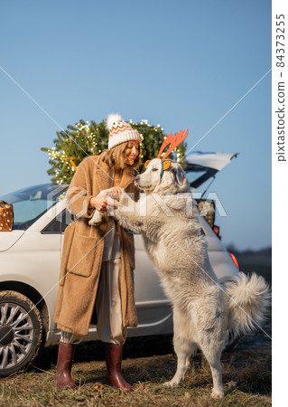 Woman with dog near car with Christmas tree on nature 84373255