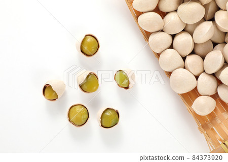 Ginkgo Ginkgo 84373920