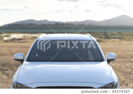 轎車越野車 84374387