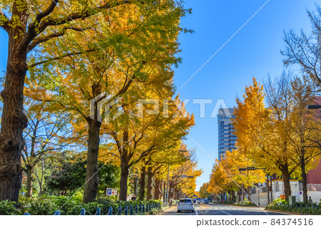 Cityscape of Minato Mirai, Yokohama Yamashita Koen-dori Cityscape of Minato Mirai, Yokohama Yamashita Koen-dori 84374516