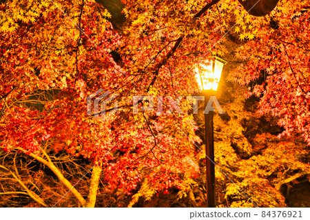 秋葉夜景箕面箕面瀧道瀧安寺 84376921