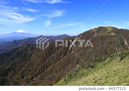 Tanzawa Mountains and Mt. Fuji 84377115