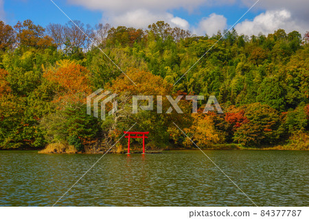 Lake Ippeki Autumn Leaves Ito City 84377787