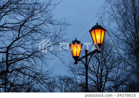A vintage lamp post with burning lamps, blue sky at dusk, lot of trees branches 84378618