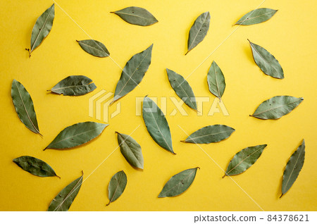 Dried bay laurel leaf isolated on rich yellow background 84378621