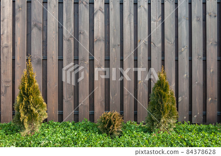 A wooden fence of brown upright boards, with a lawn of lush green grass and bushes 84378628