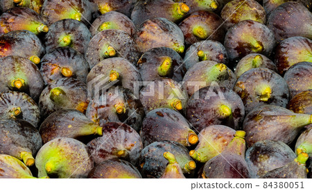 group of figs group of figs 84380051
