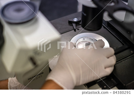 Microscope with charley set 84380291
