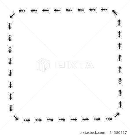 Square ants isolated on white background. Vector insects character in flat style for books illustration. 84380317