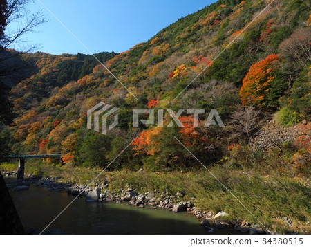 Autumn JR Fukuchiyama Line abandoned railway line route 84380515
